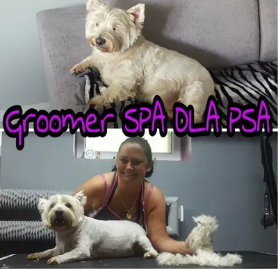 Psi Fryzjer - Spa Dla Psa